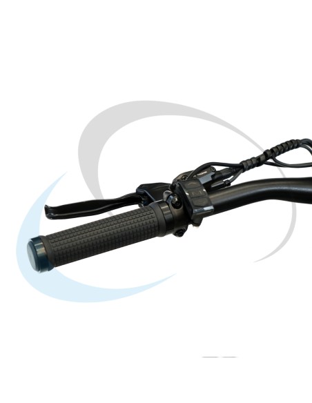 BICICLETA EBIKE SENDA BLACK (10)