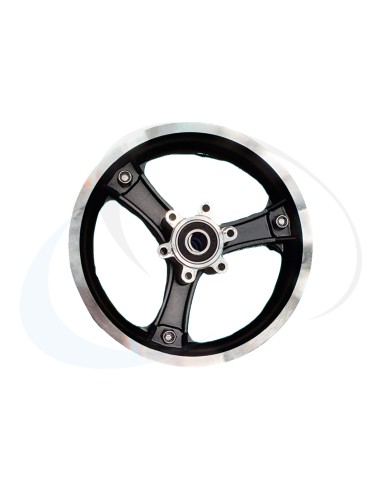 RAPTOR LLANTA DELANTERA (1)