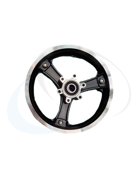 RAPTOR LLANTA DELANTERA (1)