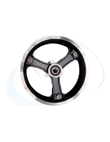 RAPTOR LLANTA DELANTERA (2)