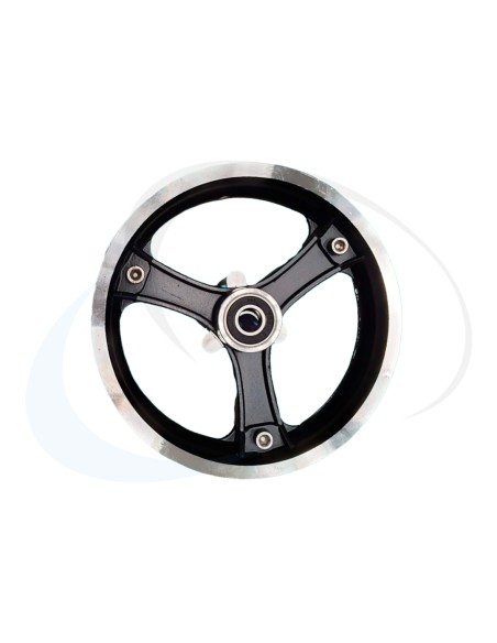 RAPTOR LLANTA DELANTERA (2)