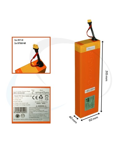 BATERIA SMARTGYRO Z PRO 10 Ah