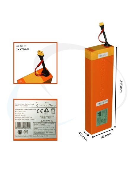 BATERIA SMARTGYRO Z PRO 10 Ah (1)