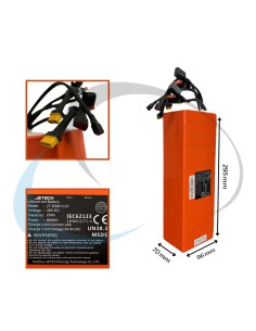 BATERIA 48v 20Ah Alta Densidad