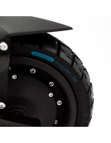 PATIN RAPTOR EVO DUAL 16Ah (17)