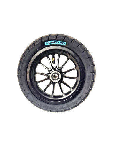 RW EVO LLANTA + NEUM. DELANTERA (1)