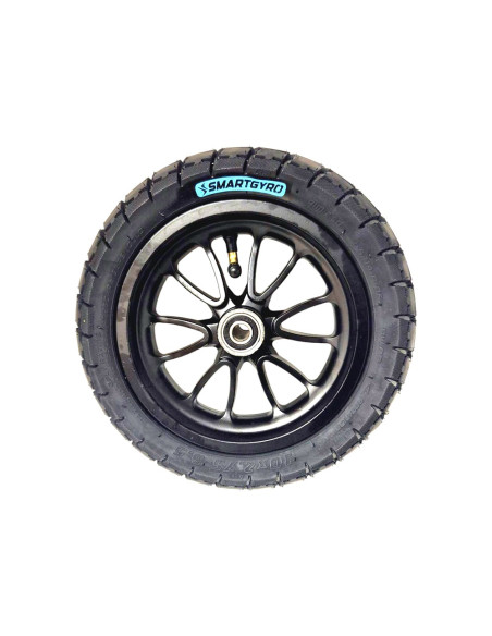 RW EVO LLANTA + NEUM. DELANTERA (1)