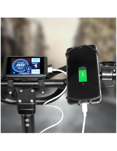 Patinete Eléctrico smartGyro Raptor...