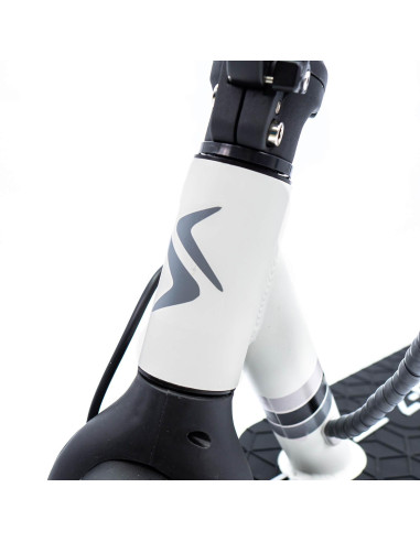 Patinete eléctrico smartGyro Z-One 2...