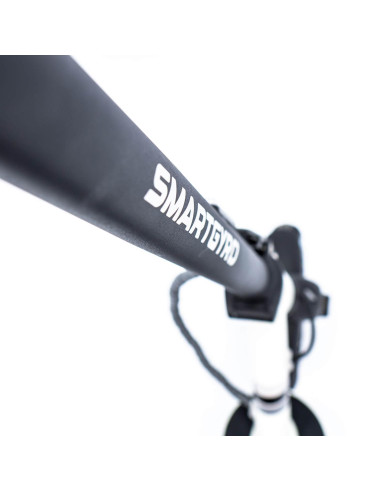 Patinete eléctrico smartGyro Z-One 2...