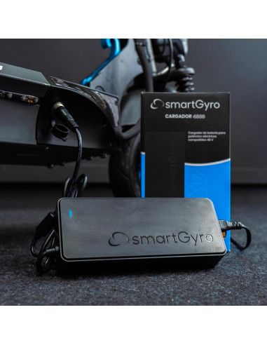 SMARTGYRO CARGADOR 4800 54,6V 2A