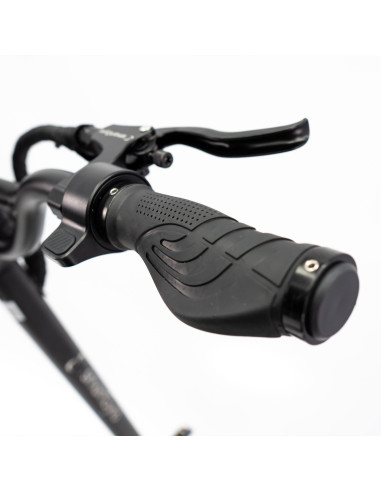 Patinete Eléctrico smartGyro Raptor...