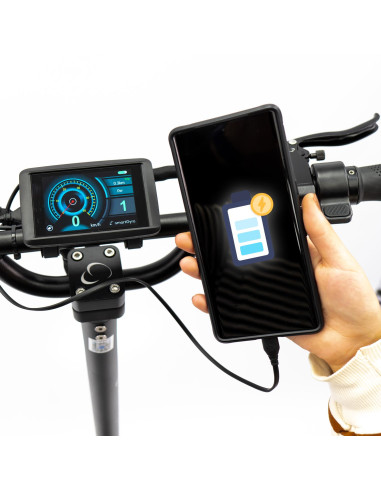 Patinete Eléctrico smartGyro Raptor...