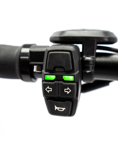 Patinete Eléctrico smartGyro Raptor...