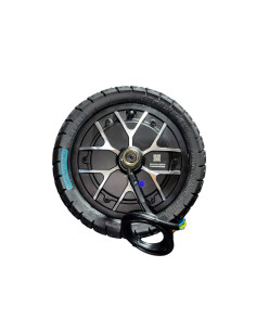 MOTOR ROCKWAY PRO EVO 800W 2