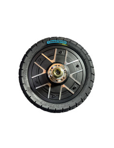 MOTOR ROCKWAY PRO EVO 800W