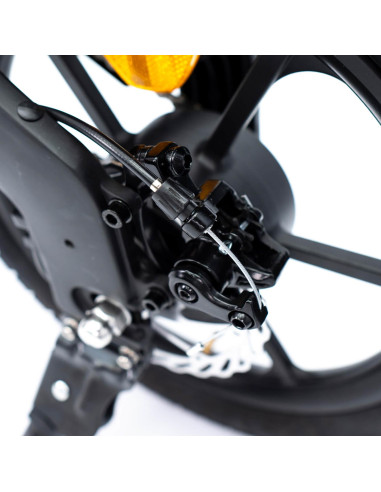 BICICLETA ELÉCTRICA EBIKE SMARTGYRO...