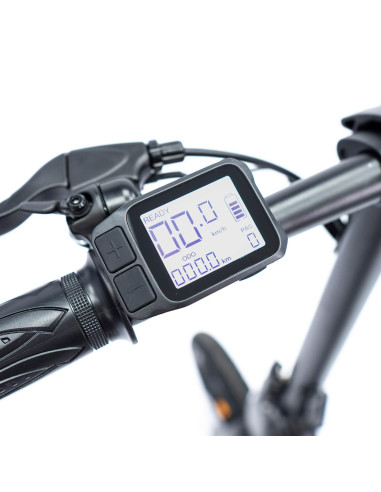 BICICLETA ELÉCTRICA EBIKE SMARTGYRO...