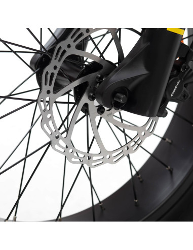 BICICLETA ELÉCTRICA SMARTGYRO EBIKE...