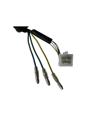 MOTOR MÁS NEUMÁTICO 1200W TRASERO...