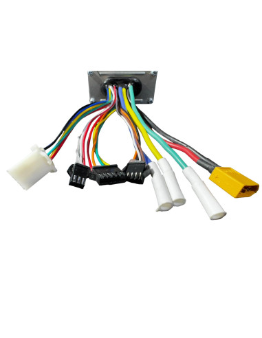 CONTROLADORA SPEEDWAY C y ROCKWAY C