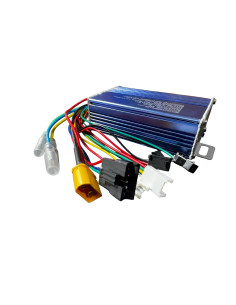 CONTROLADORA BAGGIO Y ZIRO 2