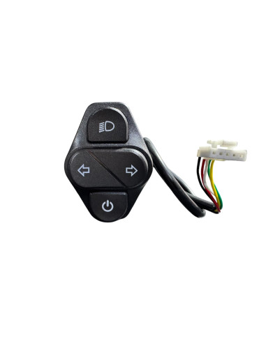 BOTONERA DE CONTROL Y LUCES ROCKWAY EVO