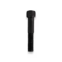 Tornillo Fijación Mástil Raptor V1
