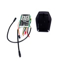 Display Raptor Evo Dual