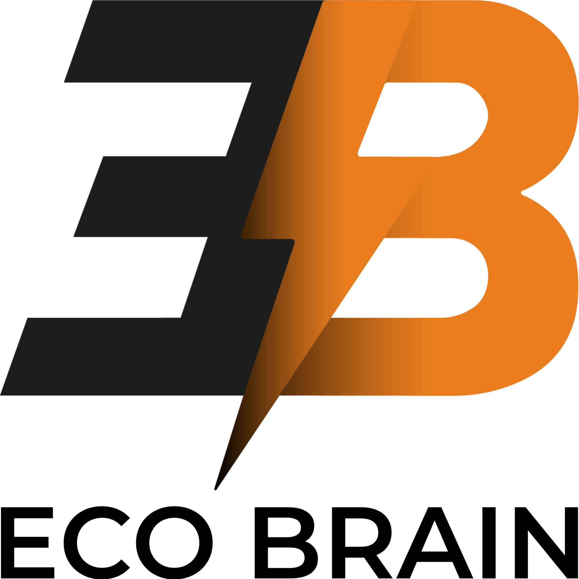 ECOBRAIN