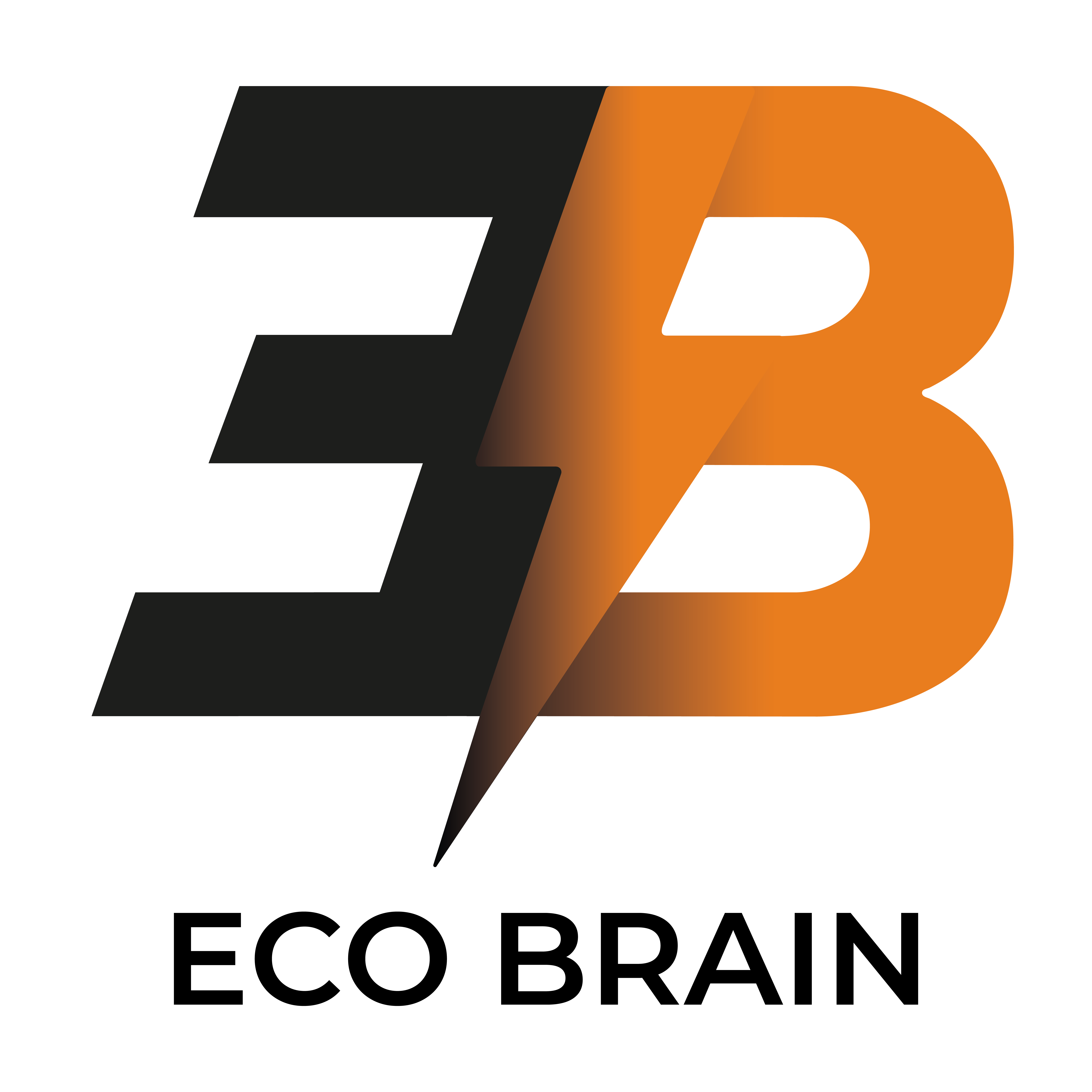 eco brain